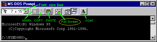 MS-DOS WINDOW